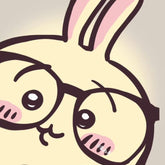 Usagi Collection | Chiikawa x Miniso