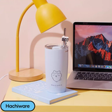 Chiikawa | Straw Steel Mug