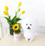 Nagano | Korean Limited | Nagano Bear Plush Toy M (28cm)
