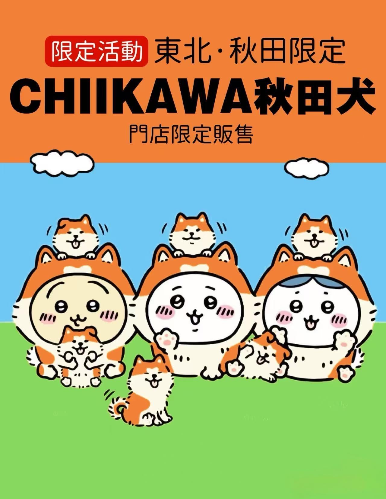 Chiikawa | Akita Limited | Akita Dog Chiikawa Mascot Main image