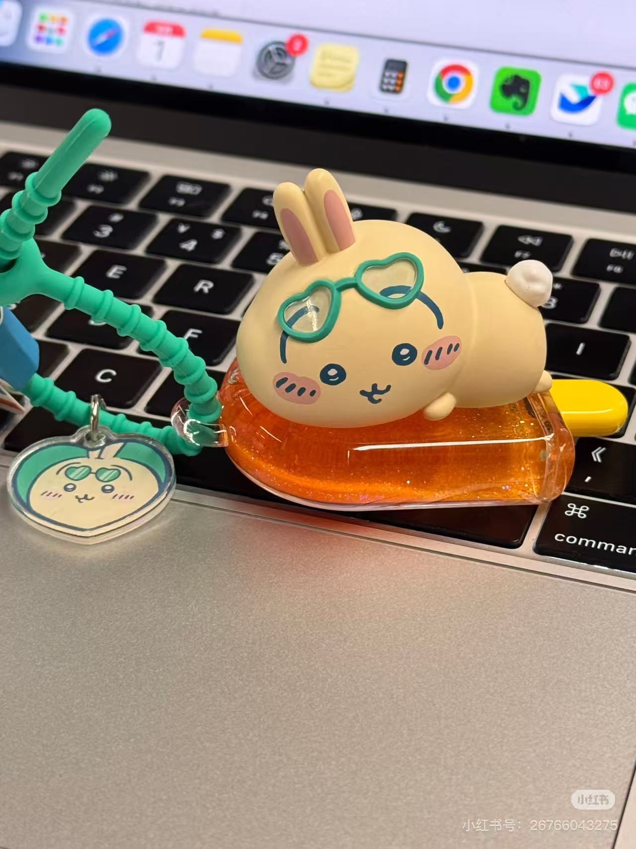 Usagi Collection | Chiikawa x Miniso