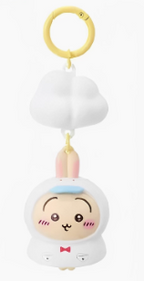 Usagi Collection | Chiikawa x Miniso
