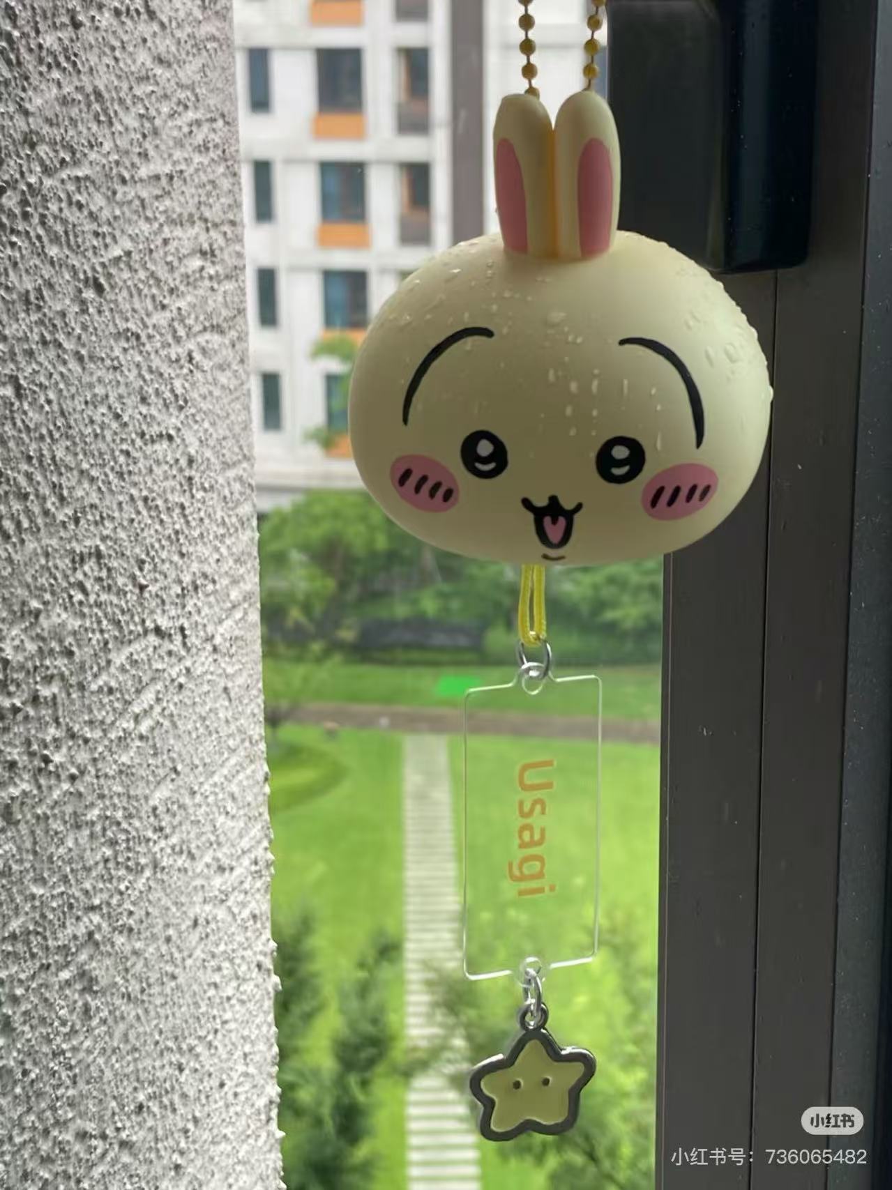 Usagi Collection | Chiikawa x Miniso