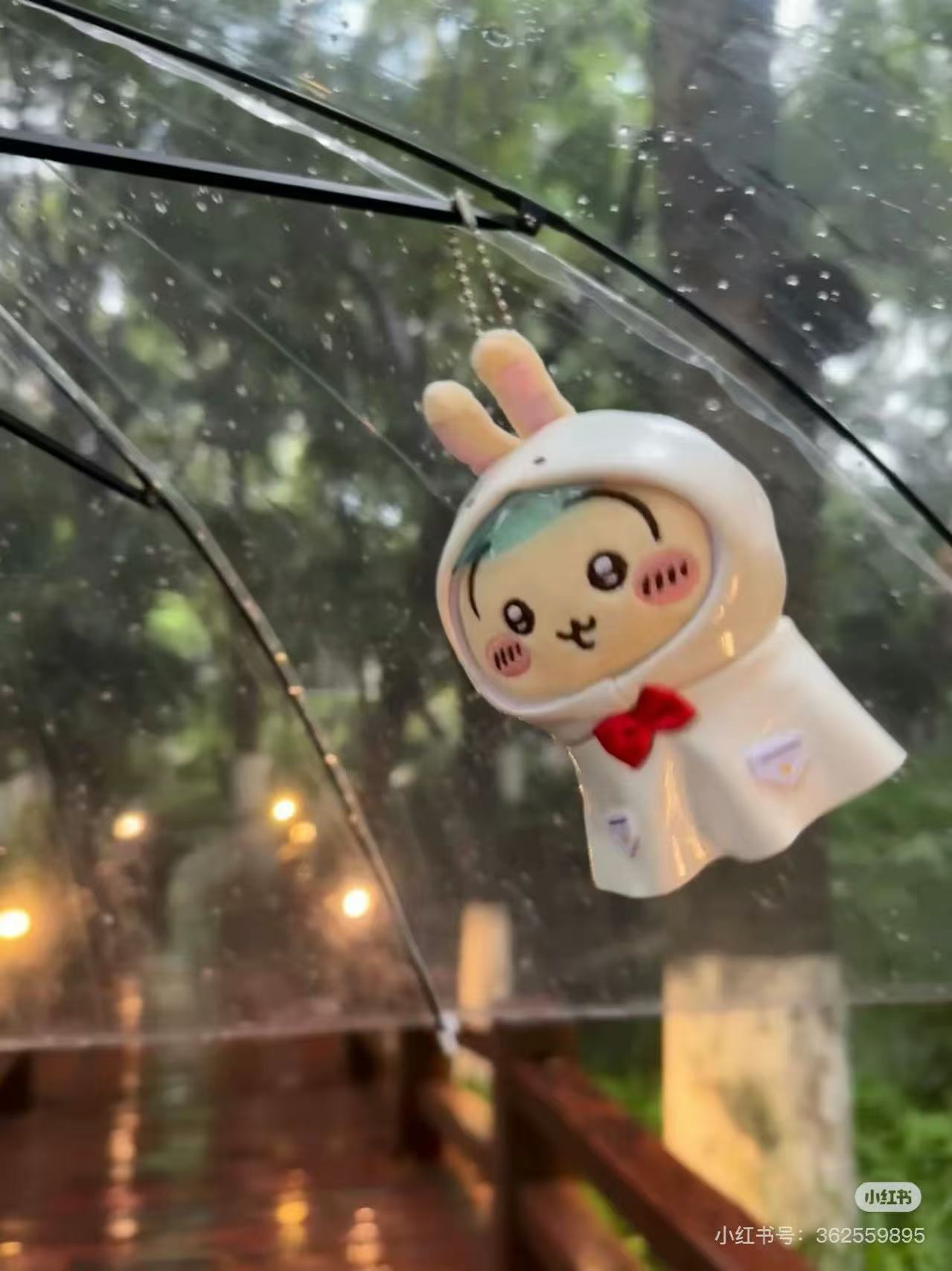 Usagi Collection | Chiikawa x Miniso
