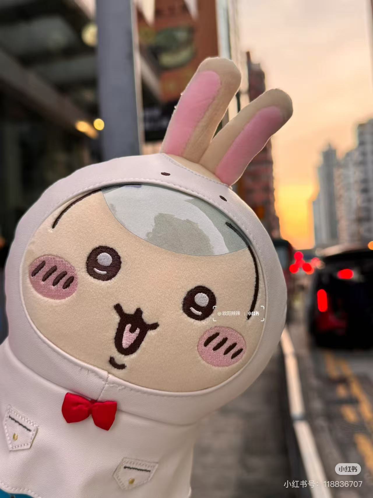 Usagi Collection | Chiikawa x Miniso