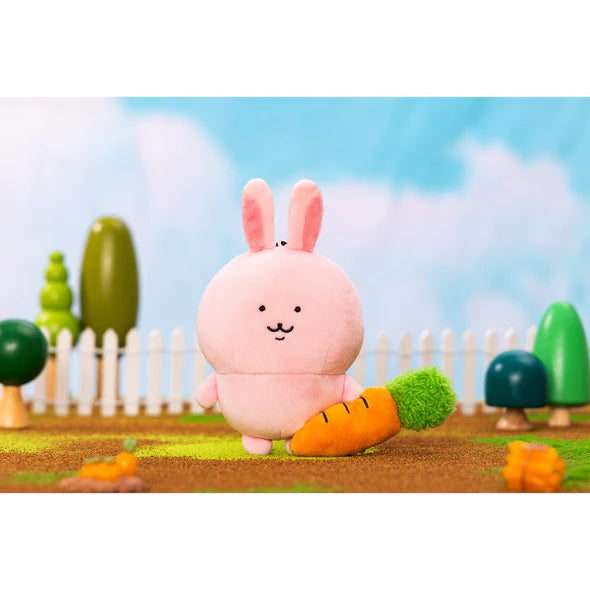 Nagano | FRIENDS Rabbit Mascot Main image