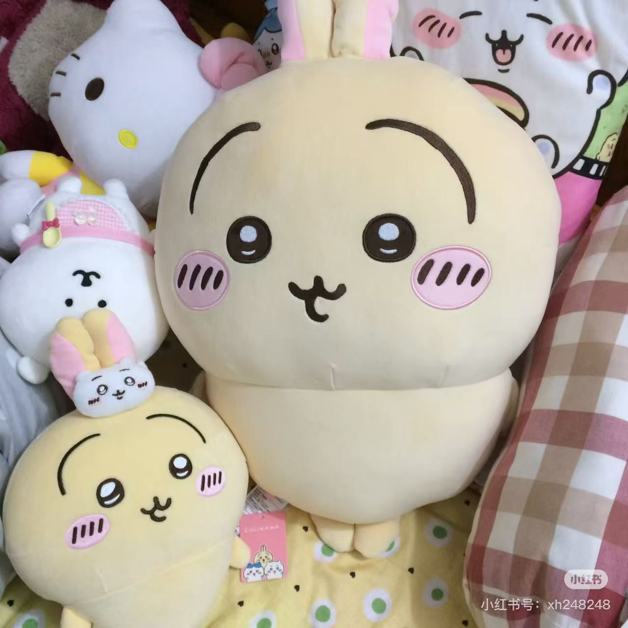 Usagi Collection | Chiikawa x Miniso